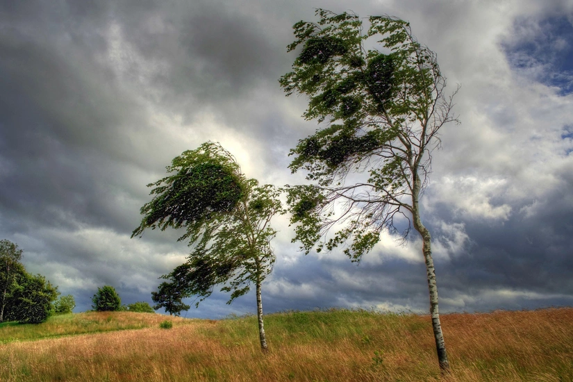 Güclü külək əsəcək - XƏBƏRDARLIQ