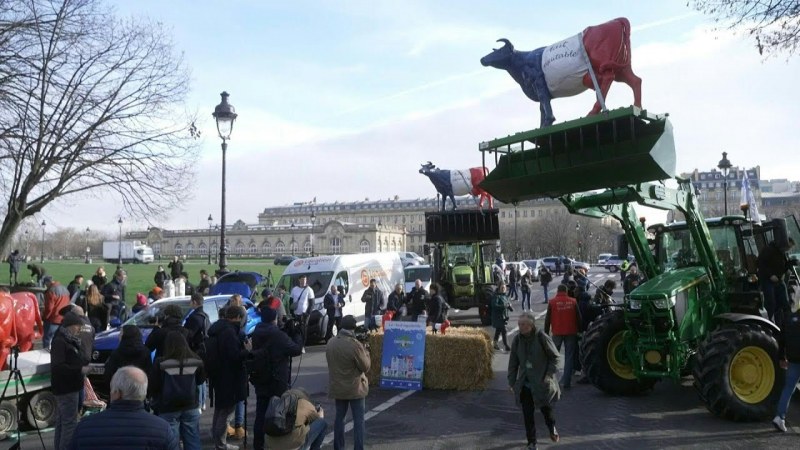 Fermerlər Parisdə traktorlarla etiraz aksiyası keçiriblər
