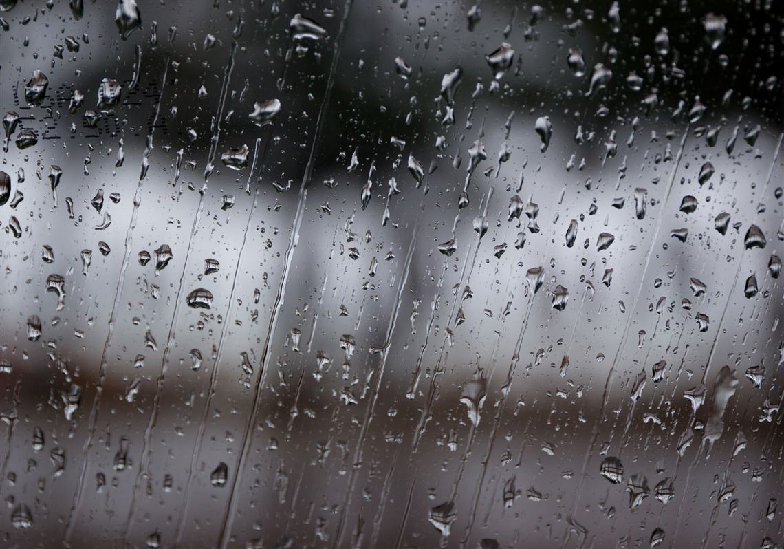 Bakıya yağış, rayonlara qar yağacaq - PROQNOZ