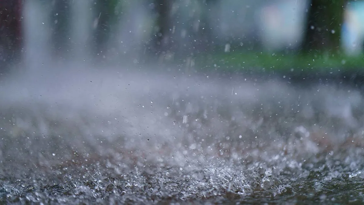 Bəzi yerlərdə  yağıntılı və küləkli hava şəraiti müşahidə olunur - FAKTİKİ HAVA