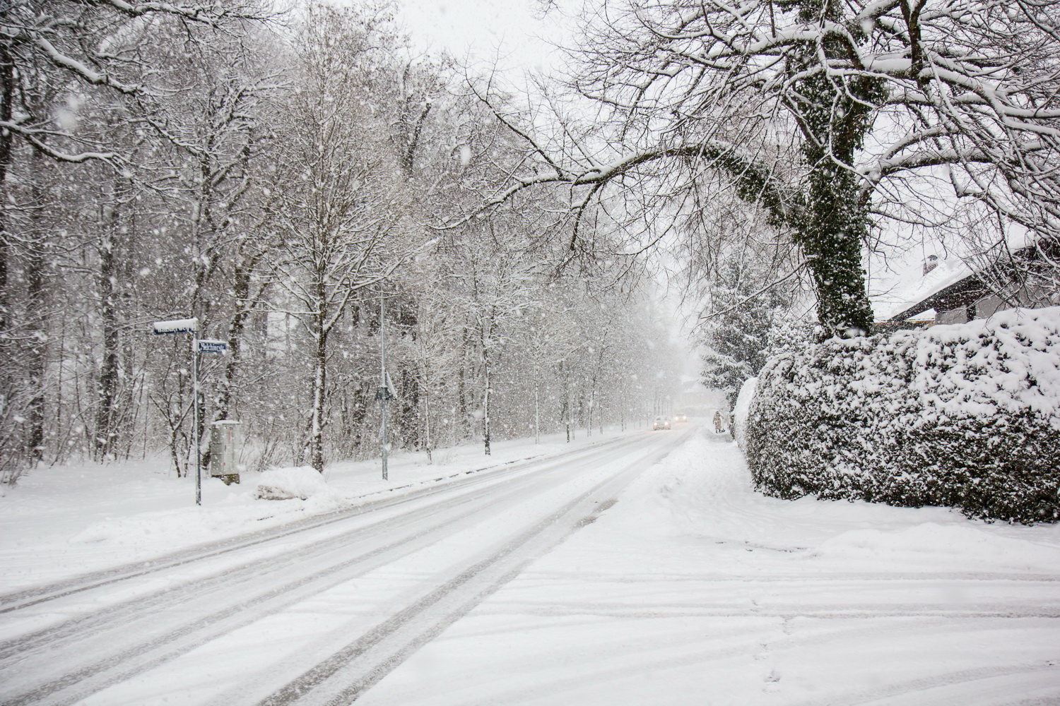 Dağlıq ərazilərdə qar yağır - FAKTİKİ HAVA
