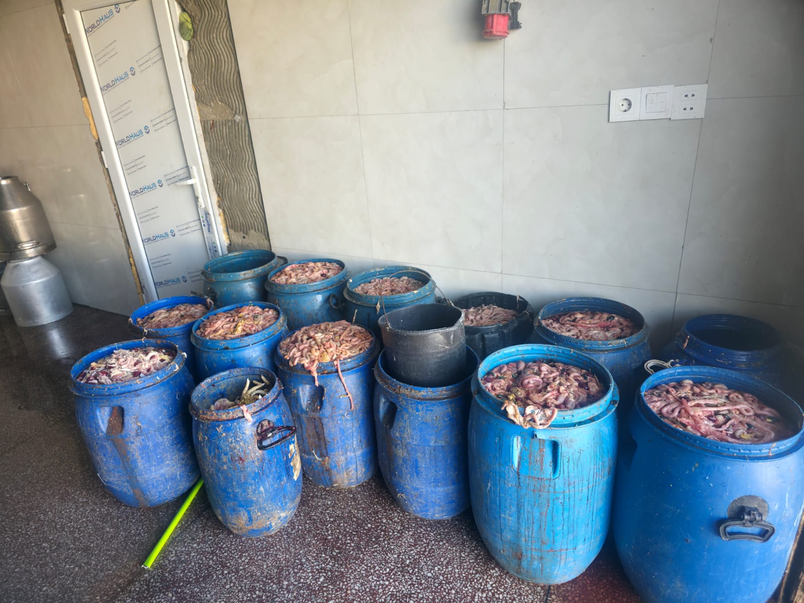 Novxanıda fəaliyyət göstərən kəsim məntəqəsində nöqsanlar aşkarlanıb