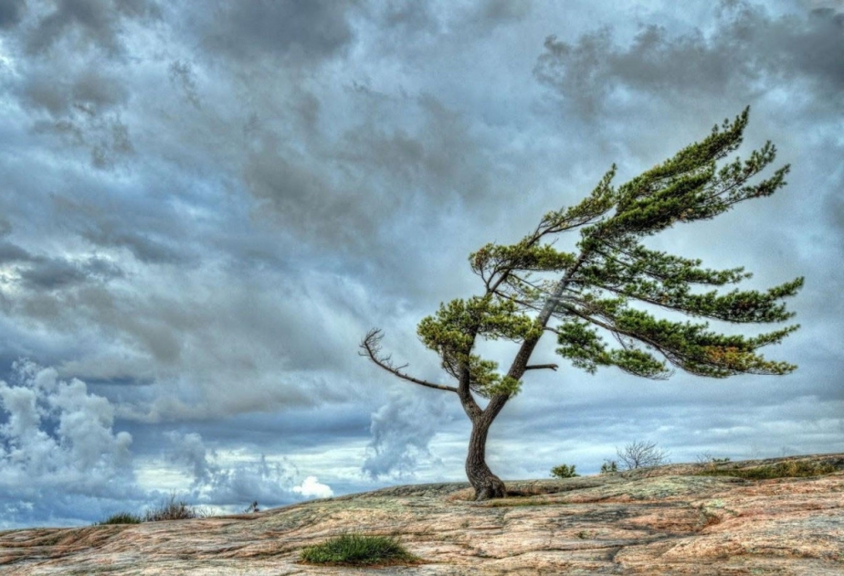 Küləkli hava şəraiti ilə bağlı sarı və narıncı xəbərdarlıq verilib