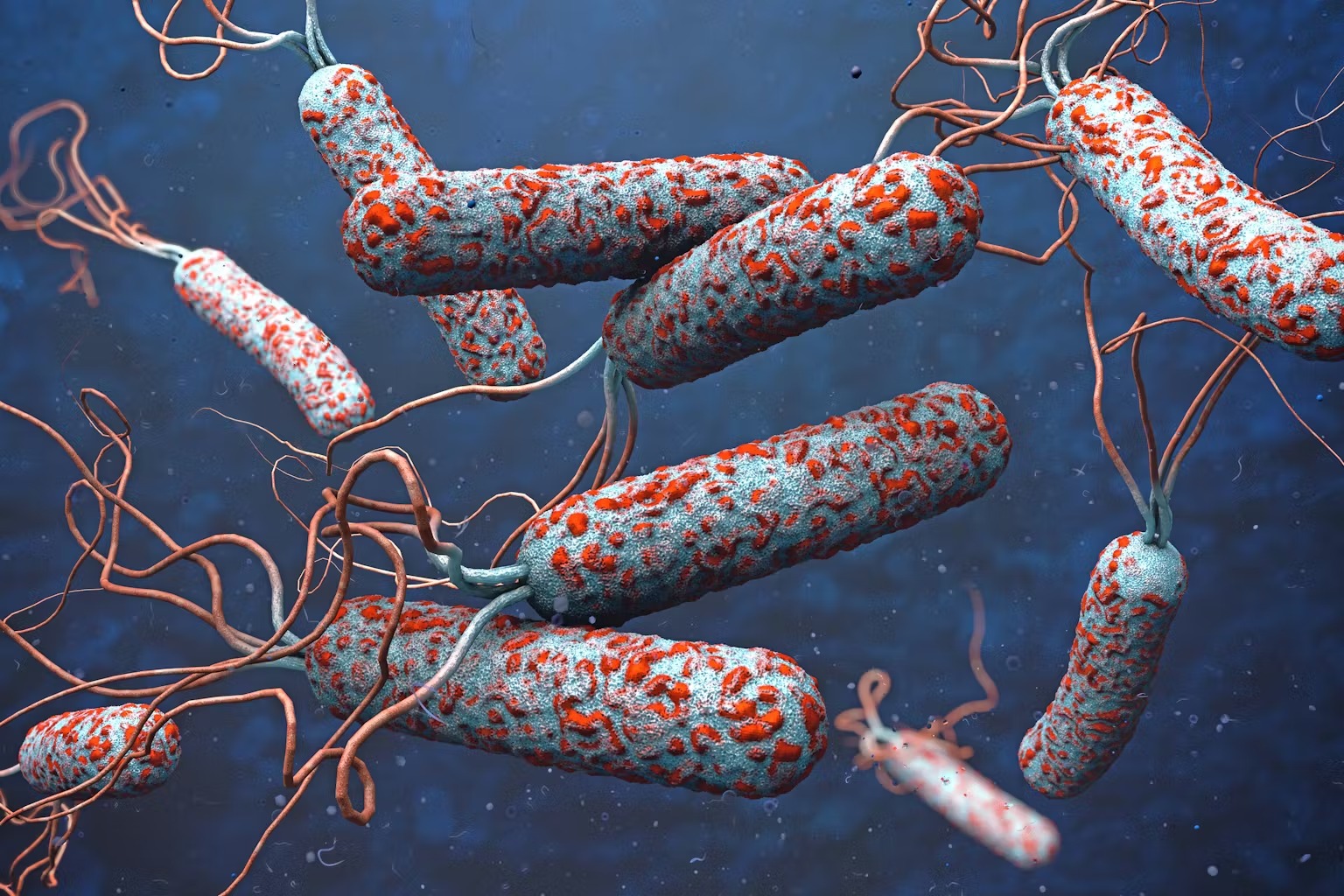 Mozambikdə vəbadan ölənlərin sayı 48-ə çatıb