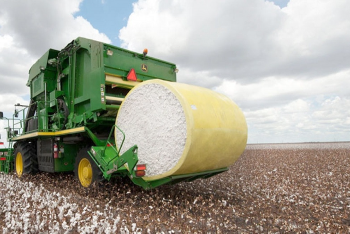 Pambıq mahlıcı və ipliyinin istehsalında artım var