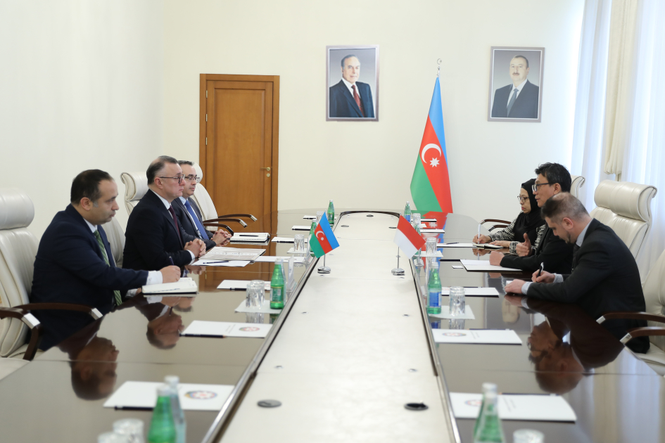 Azərbaycan və İndoneziya arasında səhiyyə sahəsində əməkdaşlıq müzakirə olunub