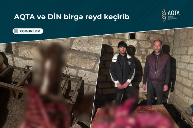 Tərtərdə 146,8 kq at əti aşkar edilib