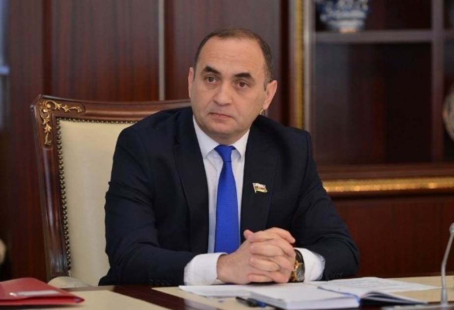 Milli Məclisdə bəzi internet oyunlarına qadağa qoyulması təklif edilib