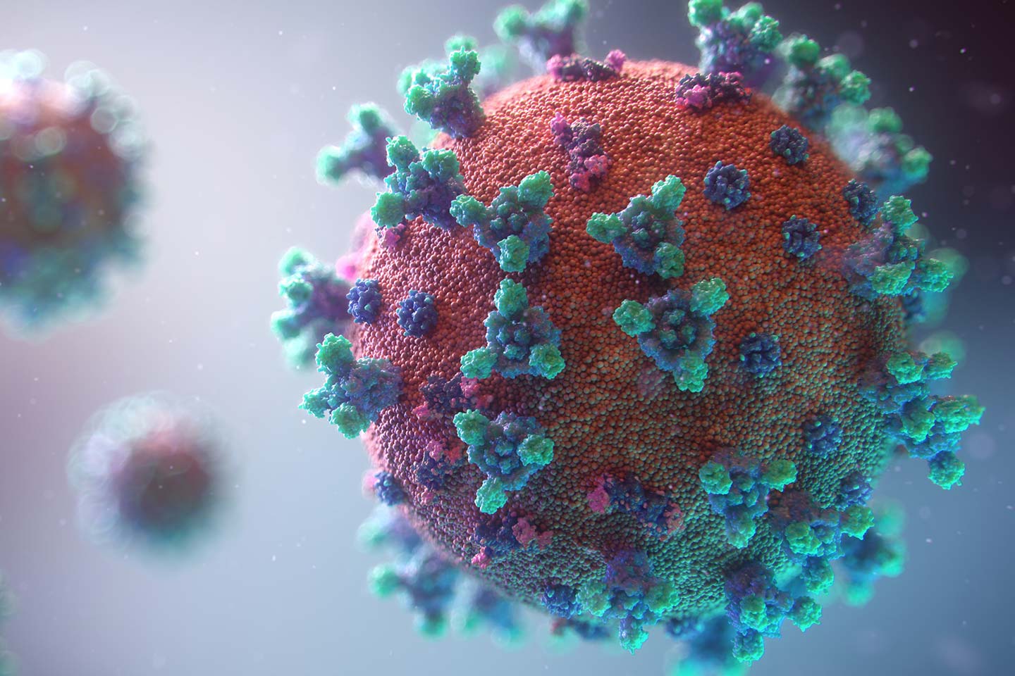 Meksikada qızılca epidemiyasından 28 nəfər ölüb