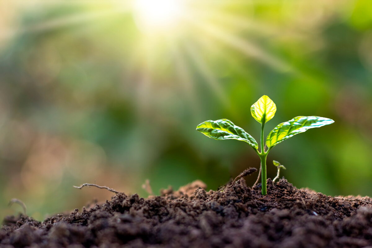 Dövlət ehtiyacları üçün torpaq alınmasının əsaslarının genişləndirilməsi qəbul edilib