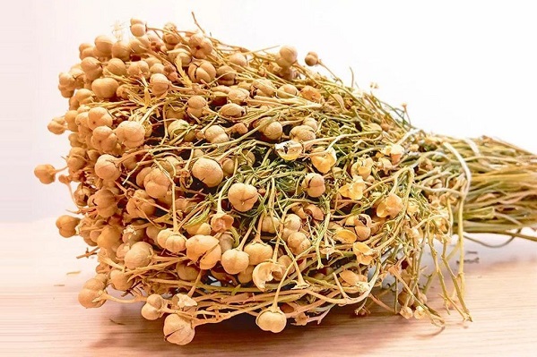 Səhiyyə Nazirliyi üzərlik bitkisi ilə bağlı məlumat yayıb