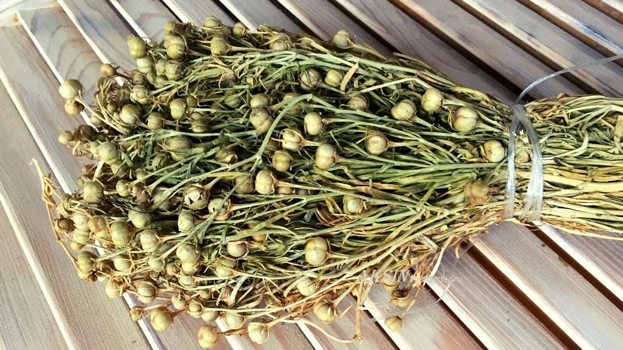 AZAL Rusiyaya üzərlik aparan vətəndaşlara xəbərdarlıq edib