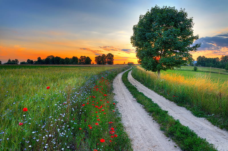 Şənbə günü hava necə olacaq? - PROQNOZ