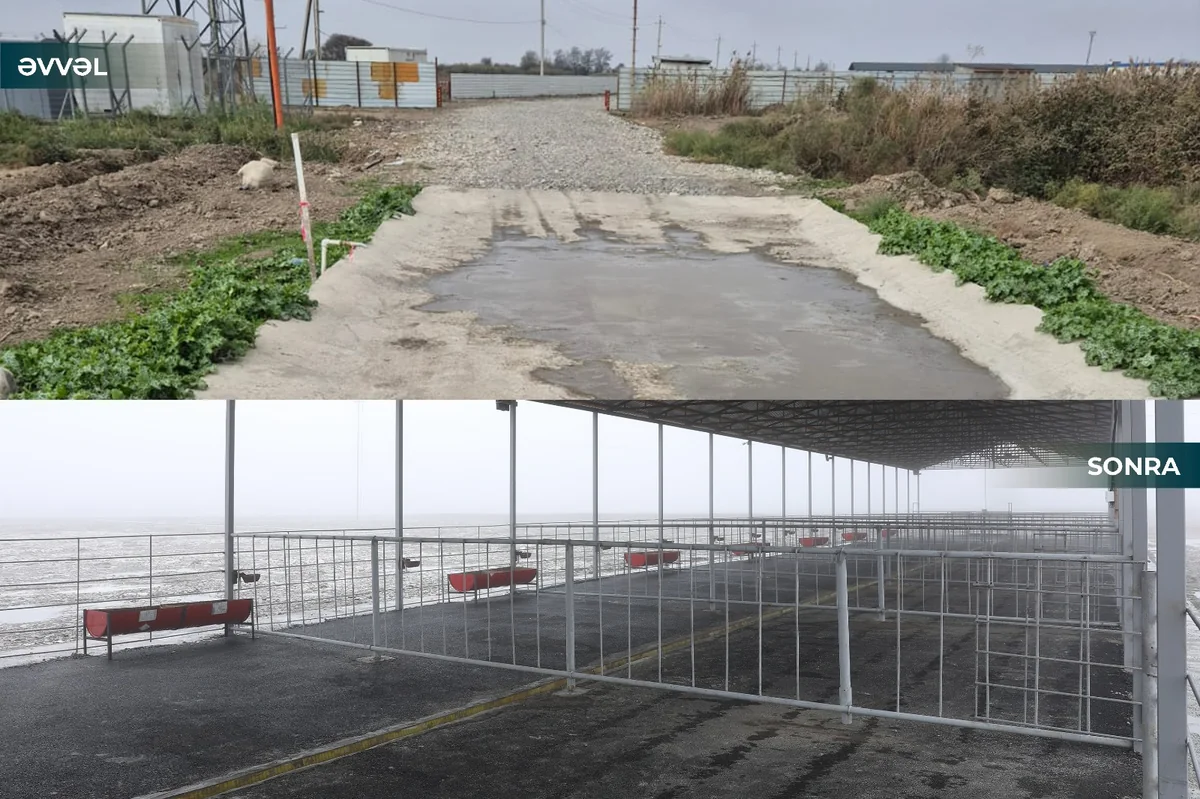 Kürdəmirdə yerləşən heyvan bazarı açılıb - VİDEO