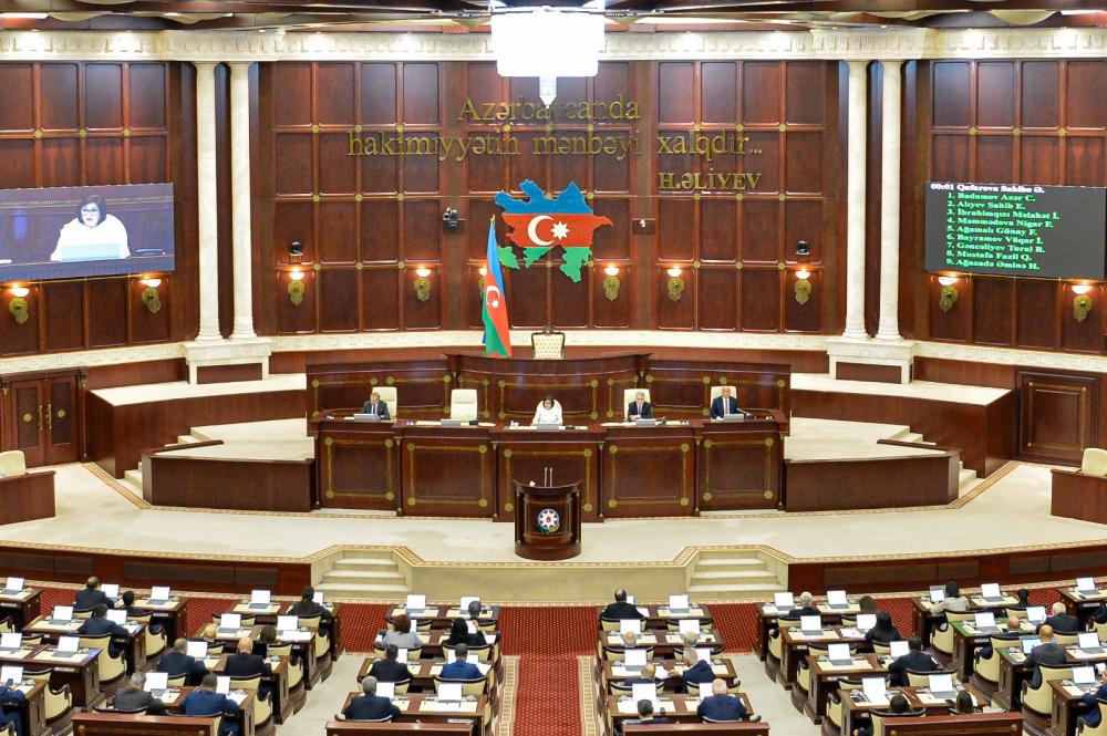 Ombudsmanın 2025-ci il üzrə məruzəsi Milli Məclisə daxil olub