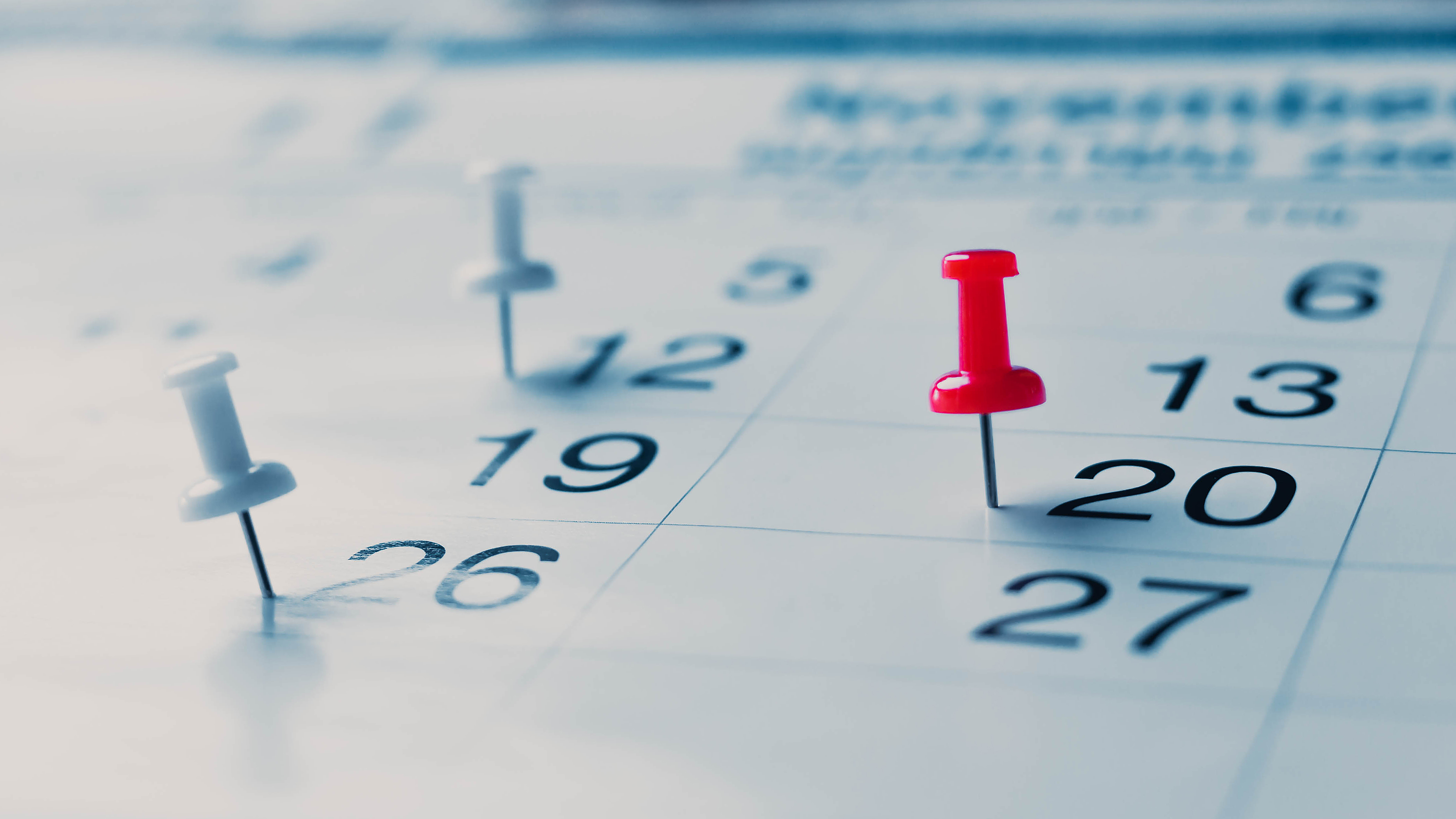 Qurban Bayramında ardıcıl 5 gün iş olmayacaq