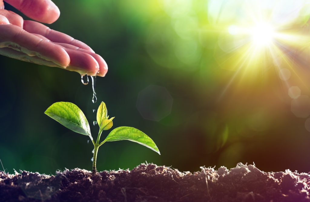 Bu gün Torpaq çərşənbəsidir