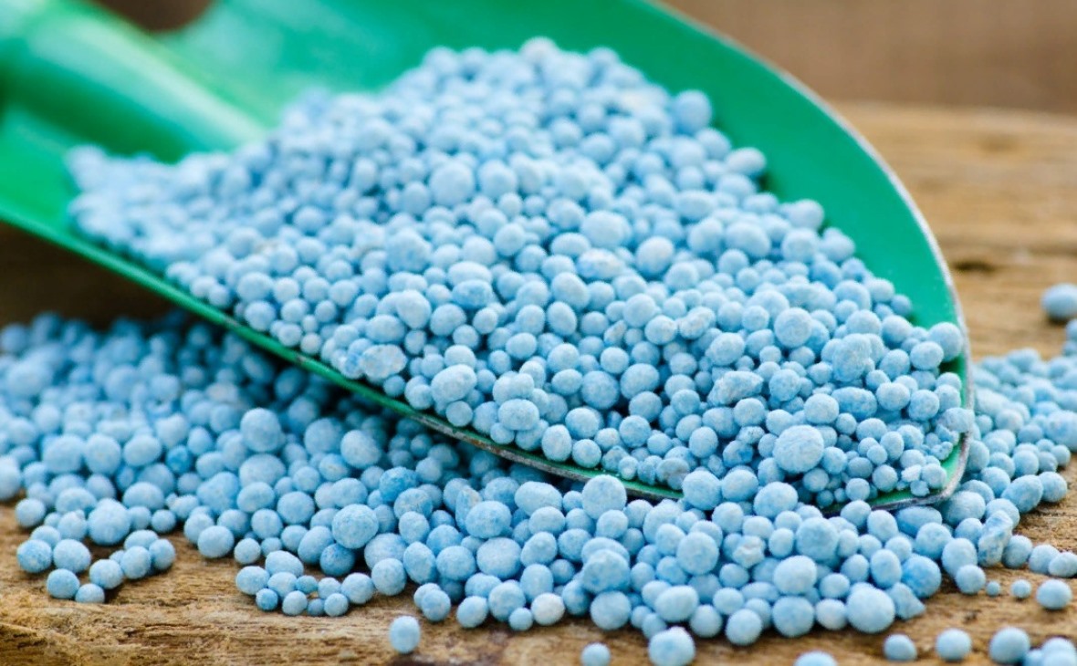 Azərbaycanın azot gübrəsi ixracından gəlirləri 40%-ə yaxın azalıb