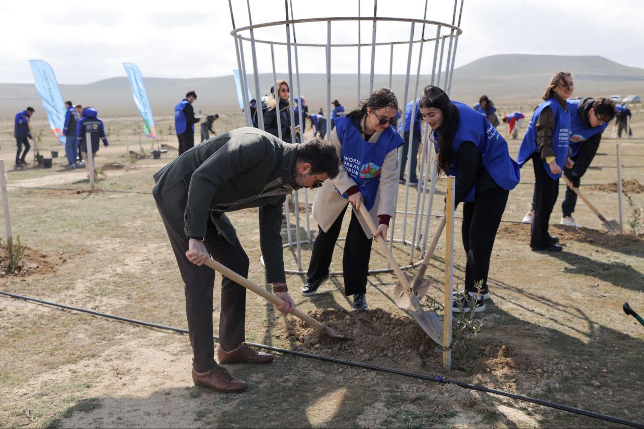 WUF13 çərçivəsində 600-dən çox ağac əkilib