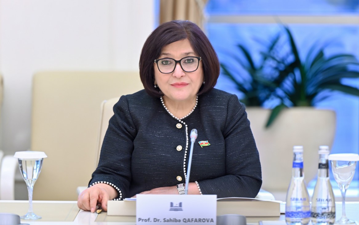 Sahibə Qafarova Çinə səfər edib