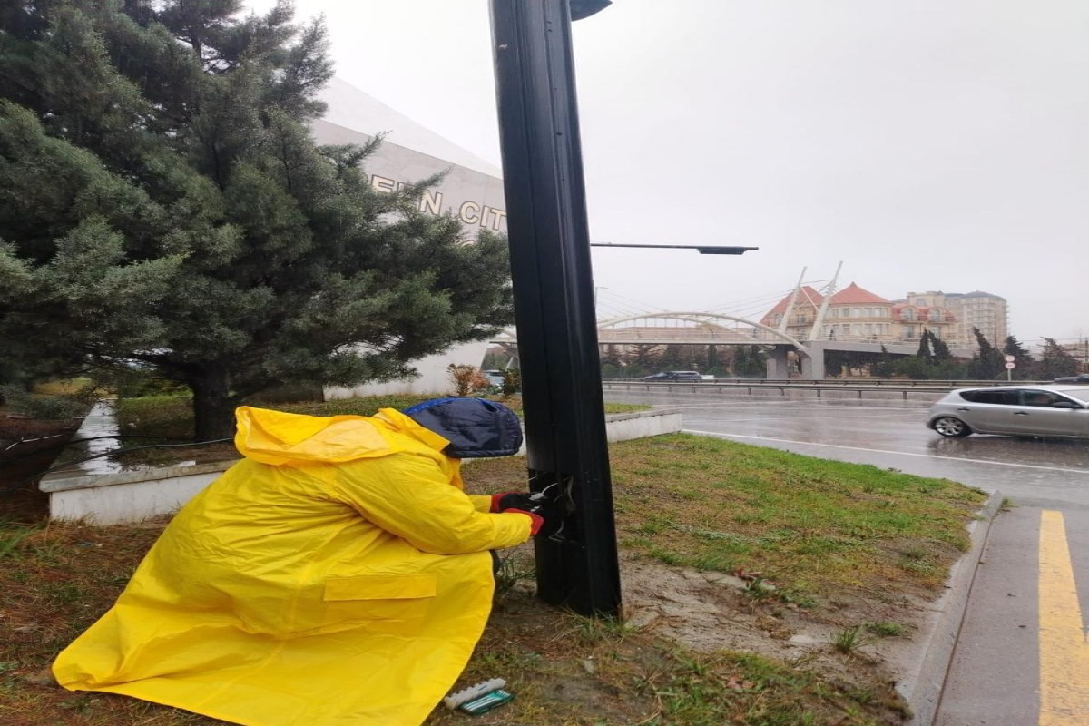 NİİM işıqforlarla bağlı hərəkət iştirakçılarına müraciət edib - FOTO