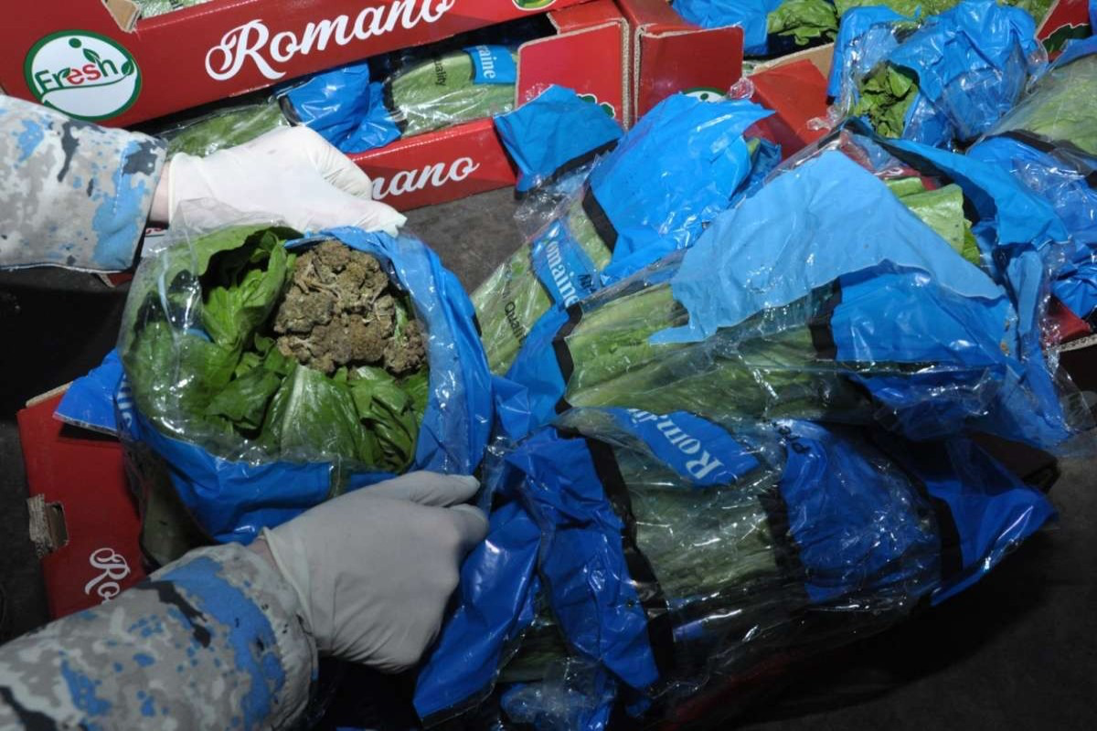 "Kahı" yükünün içərisində külli miqdarda marixuana aşkar edilib