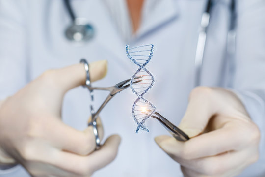 Azərbaycanda insanın klonlaşdırılması üsulları patent obyekti kimi tanınmayacaq