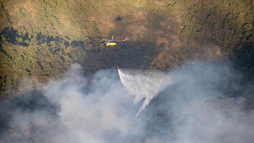 Türkiyə meşə yanğınları üçün daha 14 helikopter ayırıb