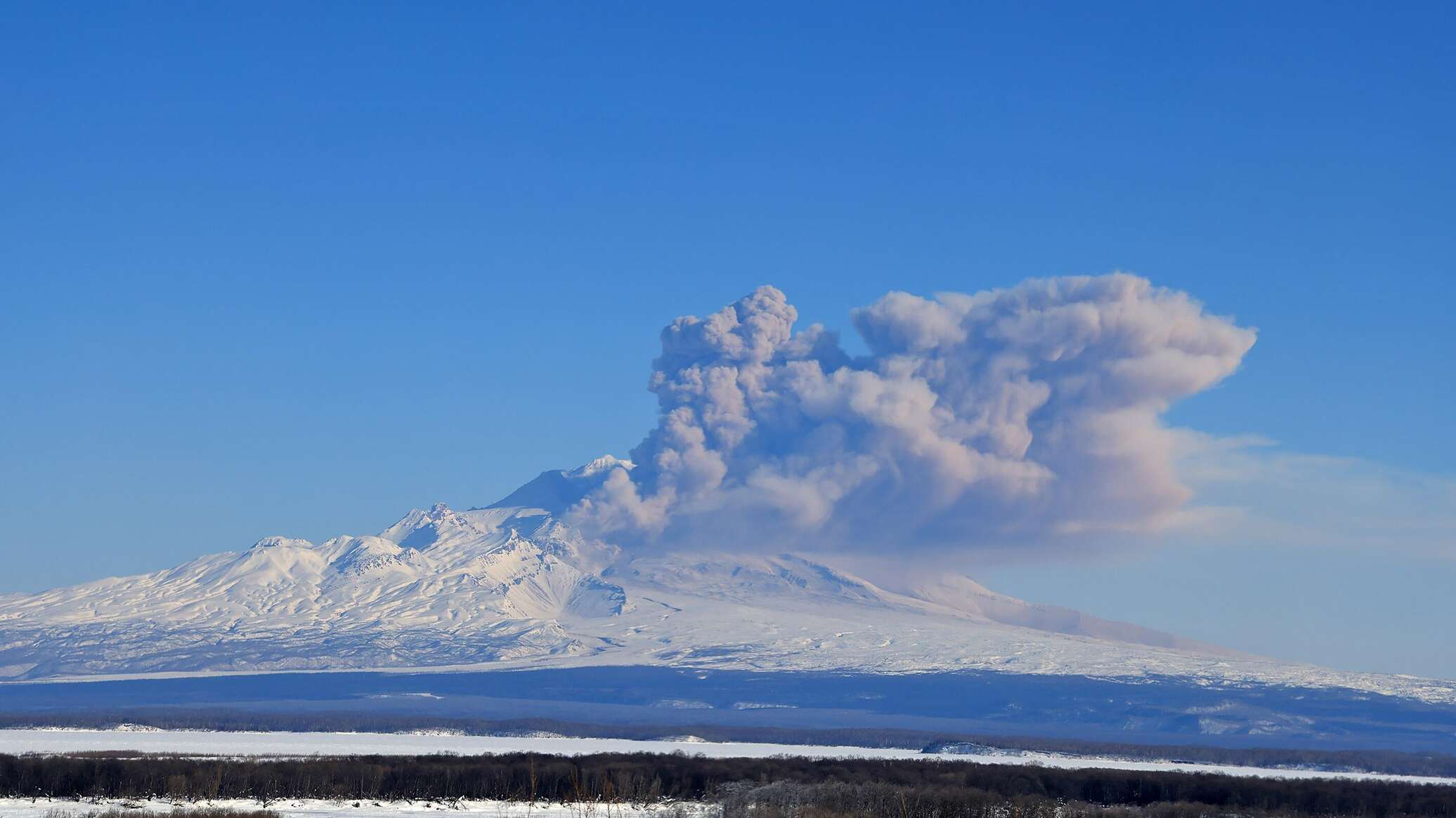 Kamçatkada Şiveluç vulkanı  kül püskürüb