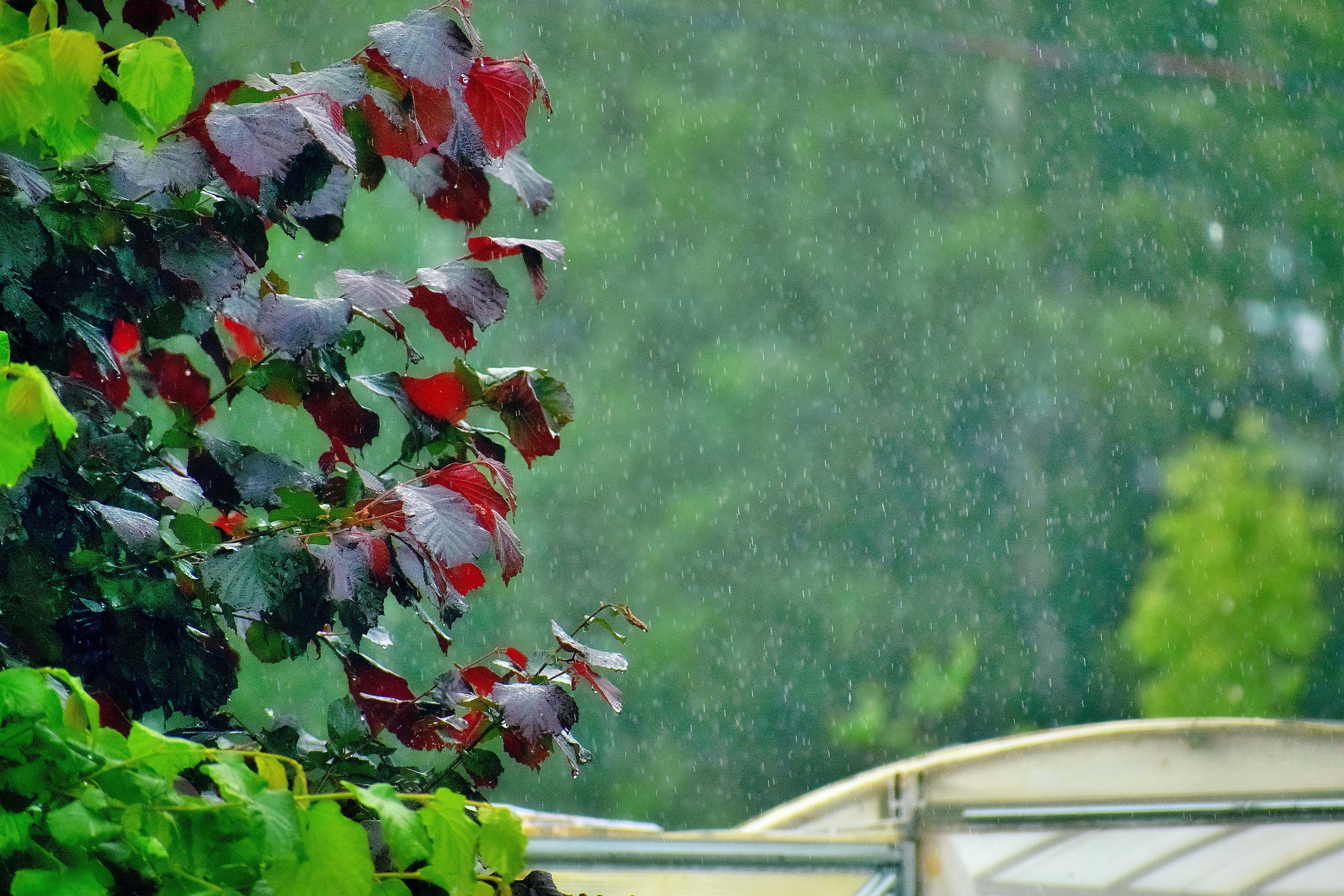 Sabah hava yağıntılı keçəcək - PROQNOZ