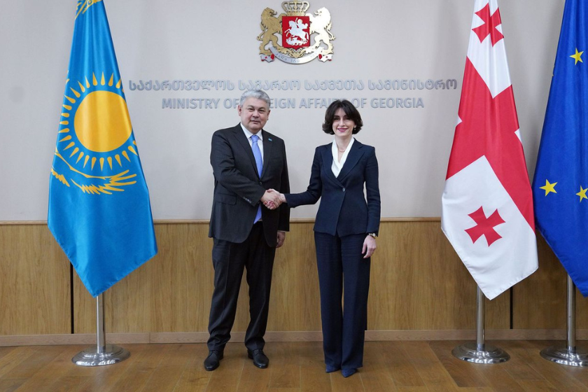 Qazaxıstan və Gürcüstan XİN rəhbərləri görüşüb