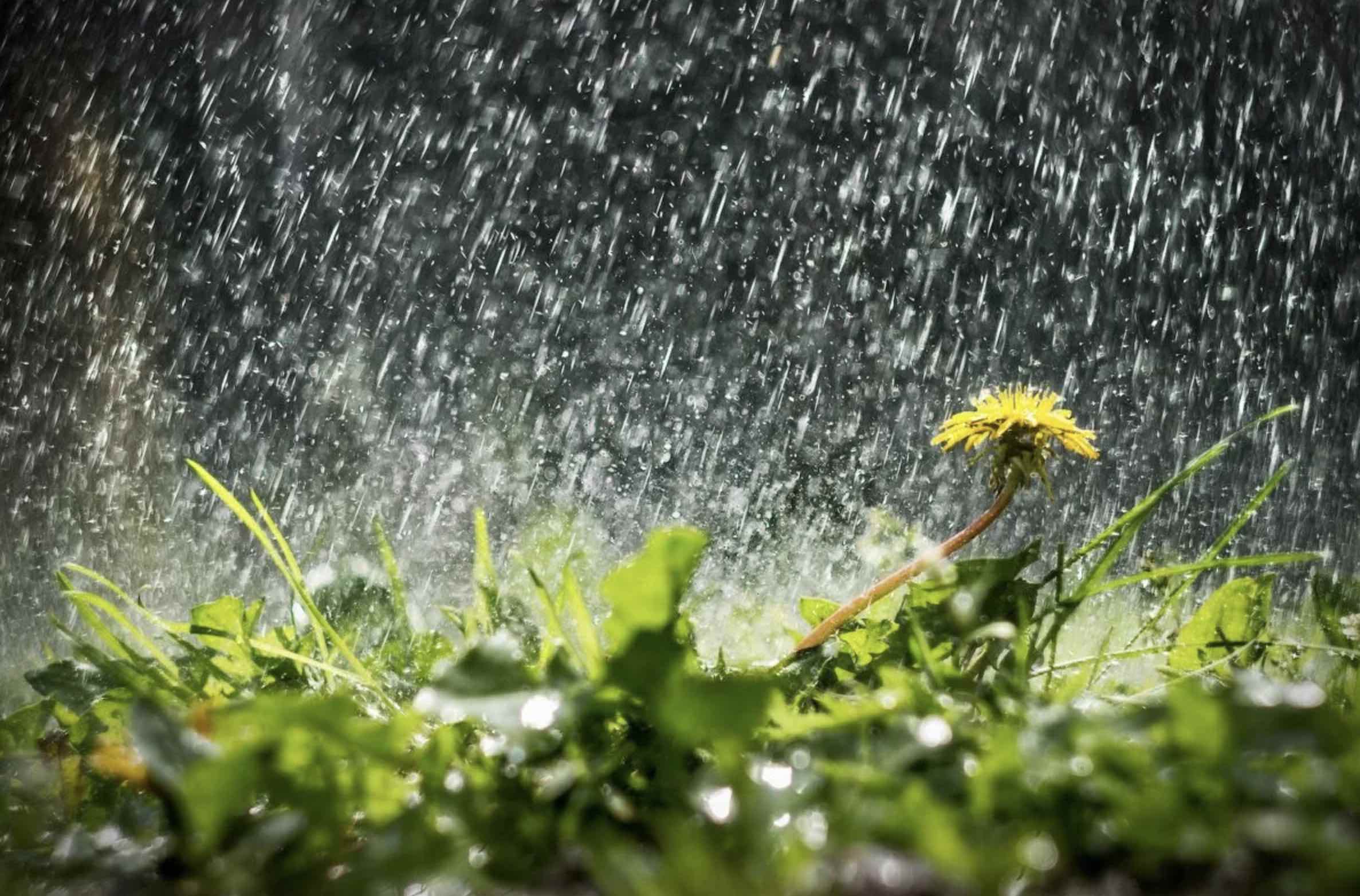 Sabah bəzi yerlərdə hava yağıntılı olacaq