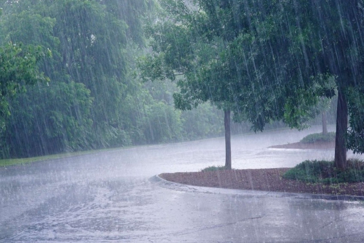 Balakən və Şəkidə intensiv yağış, dağlıq ərazilərdə isə qar yağır - FAKTİKİ HAVA