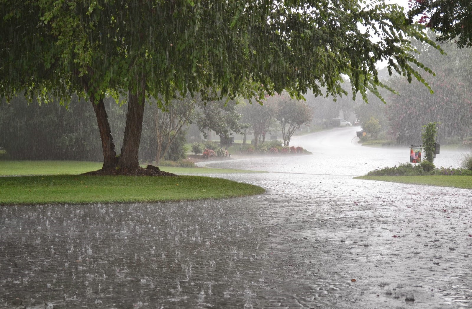 İntensiv yağış yağacaq, çaylardan sel keçəcək - SABAHIN HAVASI