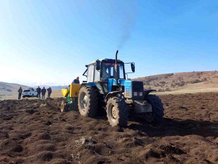 Yüksək məhsuldarlığın sirri nədədir? - Ekspert açıqlayır