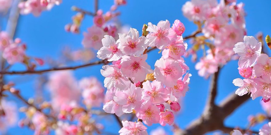 Sabah hava yağmursuz keçəcək