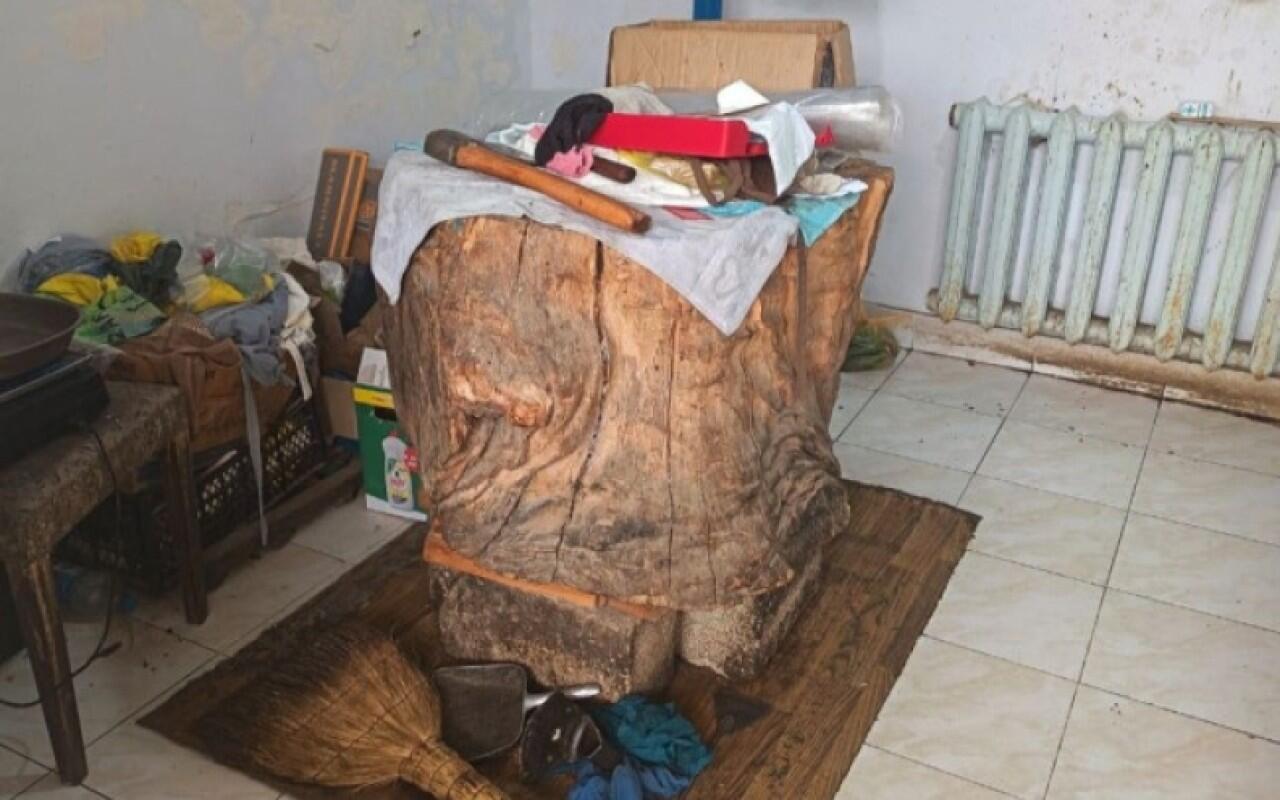 Masallıda ət satışı mağazasında normativ tələblər pozulub