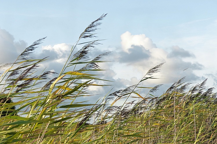 FHN  qeyri-sabit hava şəraiti ilə əlaqədar əhaliyə müraciət edib