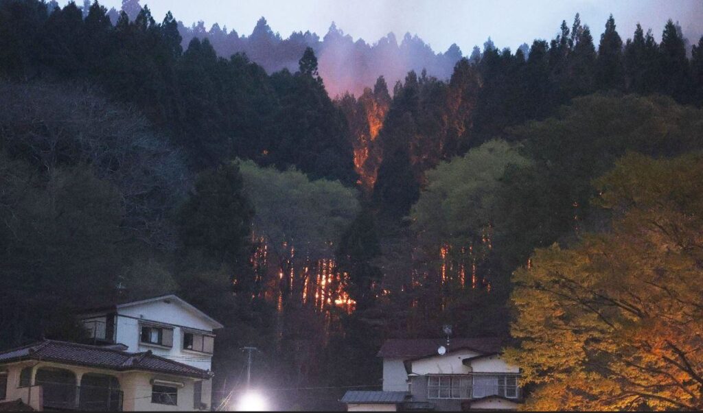 Yaponiyanın şimal-şərqində baş verən meşə yanğınları 400 hektar ərazini əhatə edib