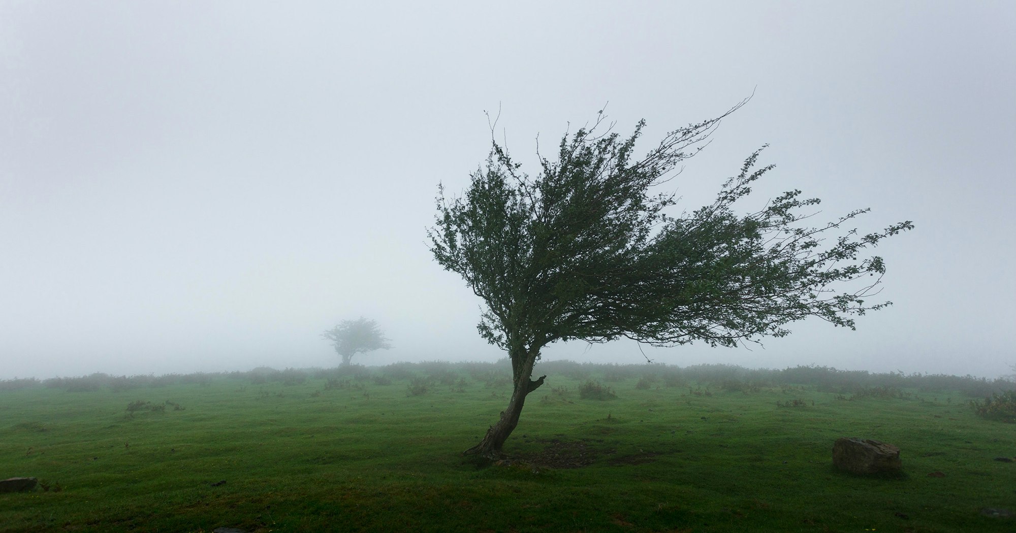  Bəzi yerlərdə küləkli hava şəraiti edir - FAKTİKİ HAVA