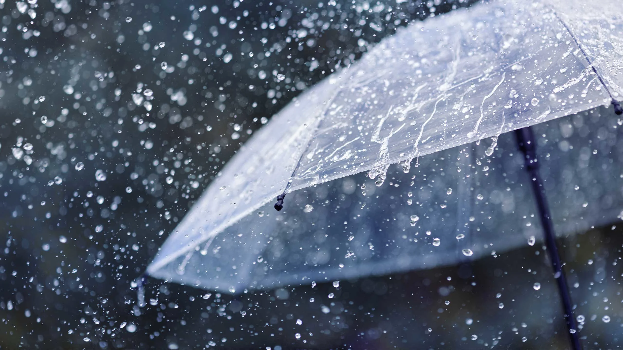 Yağıntılı və küləkli hava şəraiti davam edir - FAKTİKİ HAVA