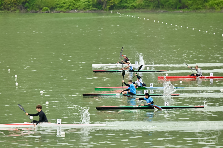 "Prezident Kuboku 2026": Azərbaycan avarçəkəni qızıl medal qazandı