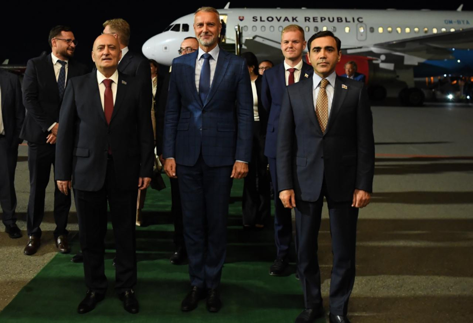 Rixard Raşi Azərbaycana rəsmi səfərə gəlib