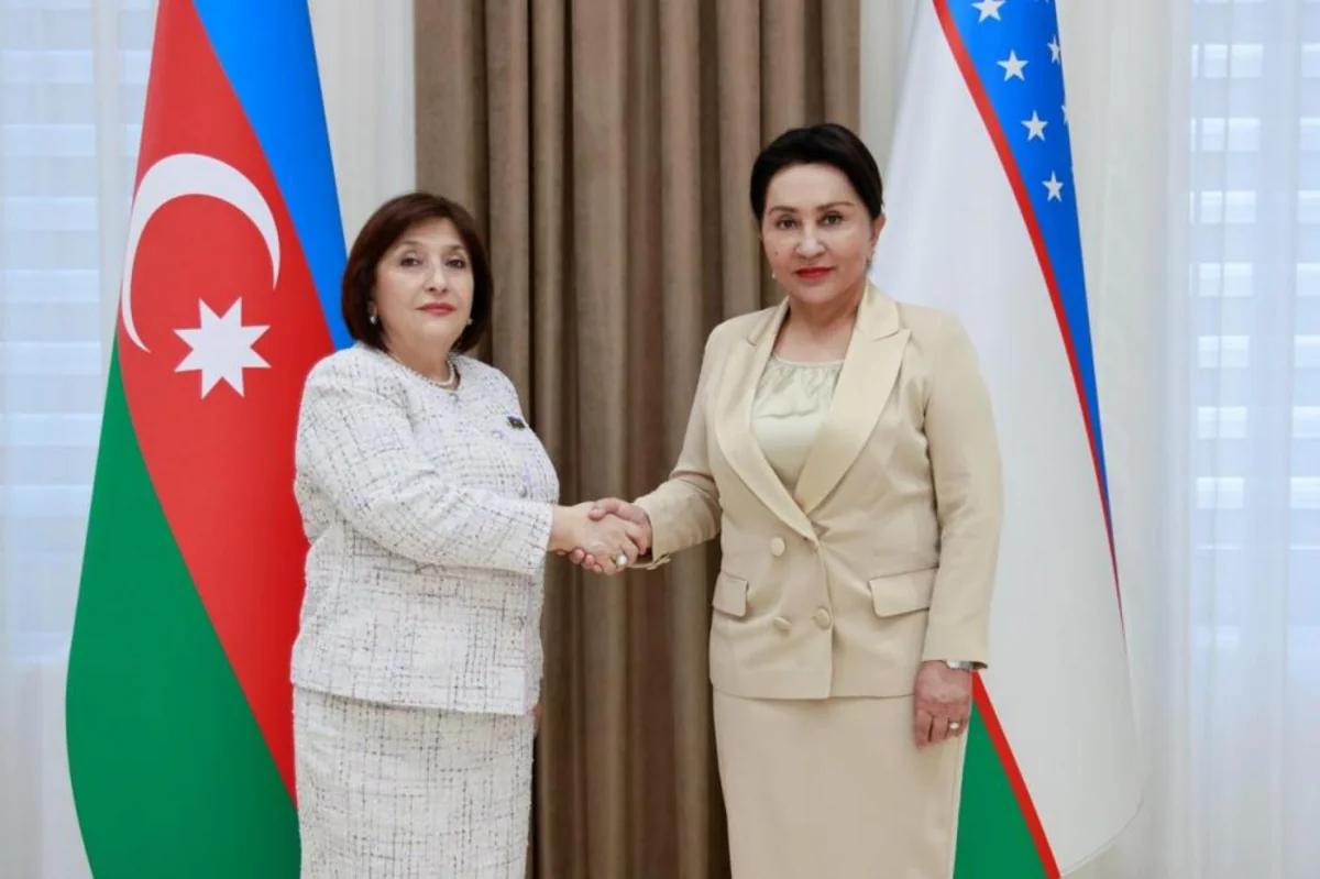 Milli Məclisin sədri Özbəkistan Ali Məclisi Senatının sədri ilə görüşüb