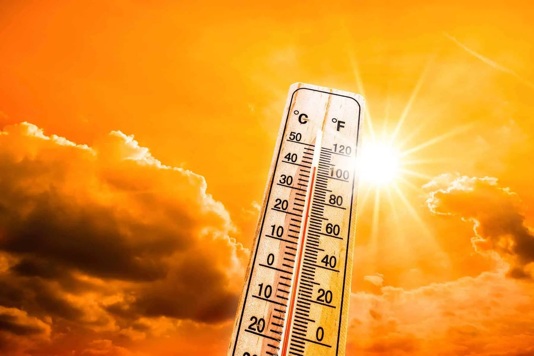 Sabah 27 dərəcə isti olacaq - HAVA