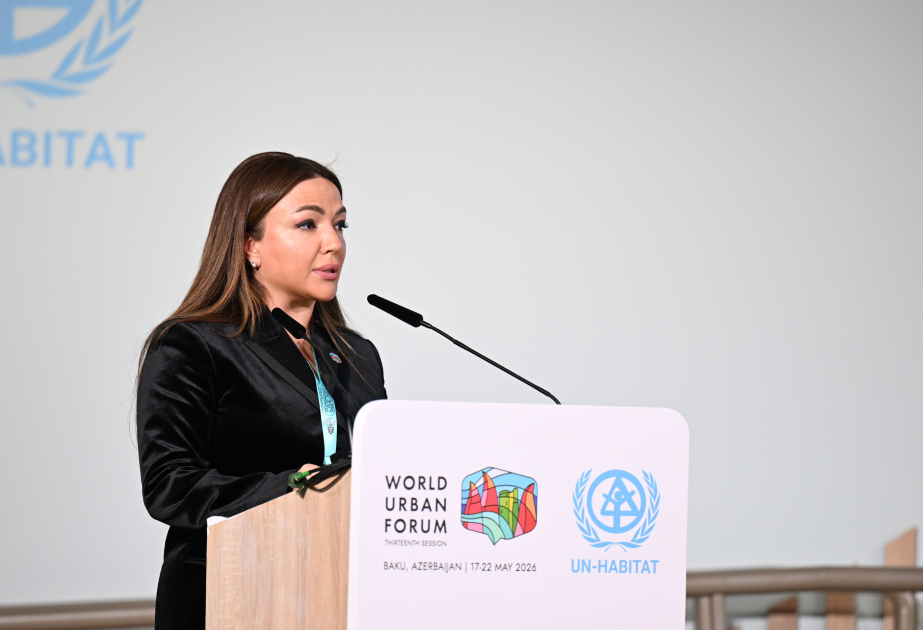 Aygün Əliyeva: Dayanıqlı şəhər inkişafı vətəndaş cəmiyyətinin iştirakı olmadan mümkün deyil