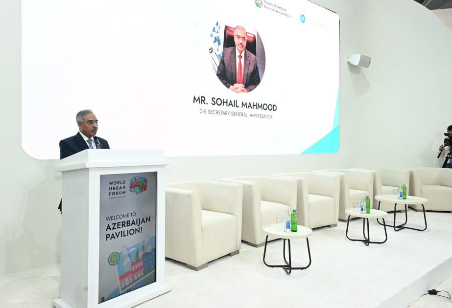 D-8 enerji və urbanizasiya üzrə beş prioritet müəyyən edib