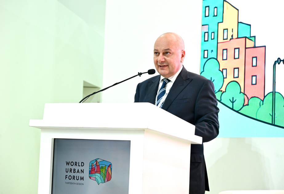 ANAMA sədri: Azad olunmuş ərazilərdə 250 mindən çox mina və sursat zərərsizləşdirilib