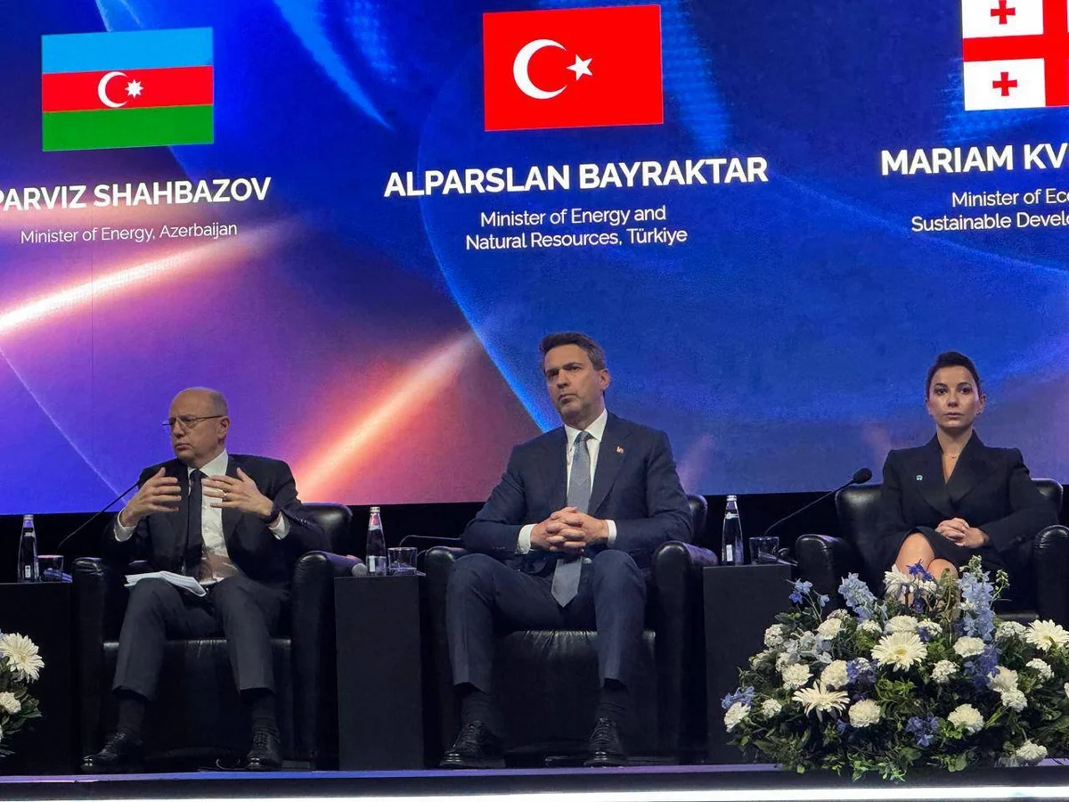 Pərviz Şahbazov: Yeni enerji bağlantısı Türkiyənin regional hab rolunu gücləndirəcək