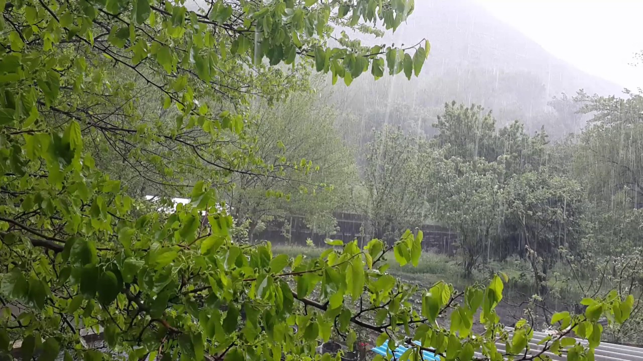Yağıntılı hava şəraiti davam edir  - FAKTİKİ HAVA